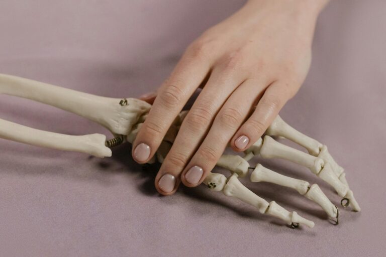 A close-up image of a human hand touching a skeleton hand on a soft background.