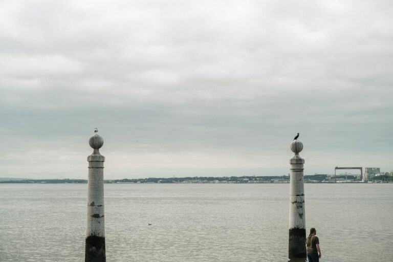 Birds perched on stone pillars by the river, with a calm horizon.